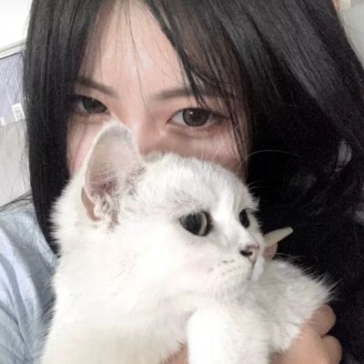 9393体育官网app下载