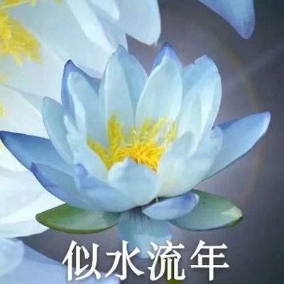BG网址官网