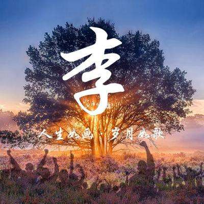 爱发体育app靠谱吗