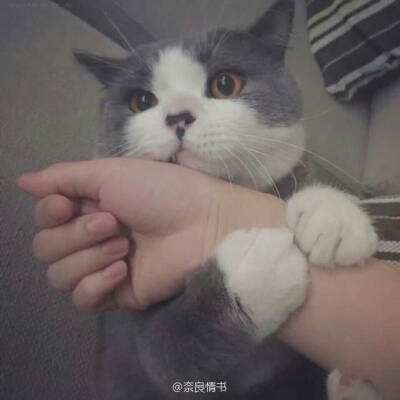永久地止一二
