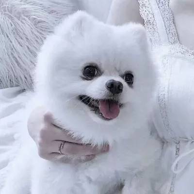 BOB娱乐直播