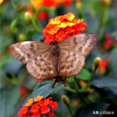篮球比分7MAP篮球比分7M
