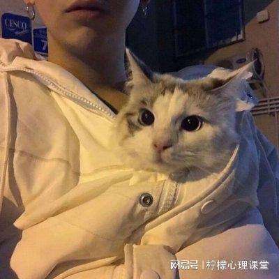 凤凰娱乐登录客户端截图