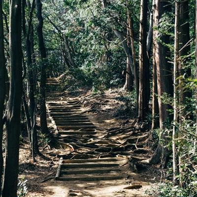凯发旗舰厅登录网址截图
