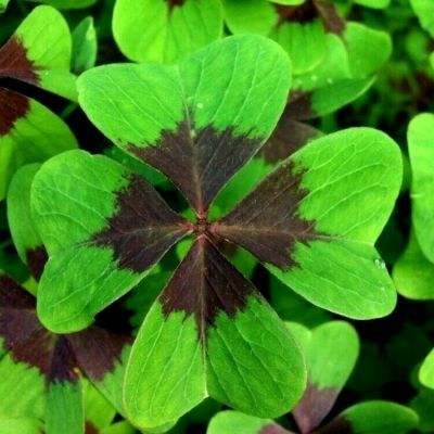 风云体育官网版app下载