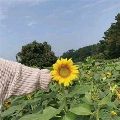 21点单机app下载老版