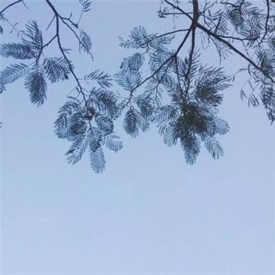 盛煌在线申请注册网站