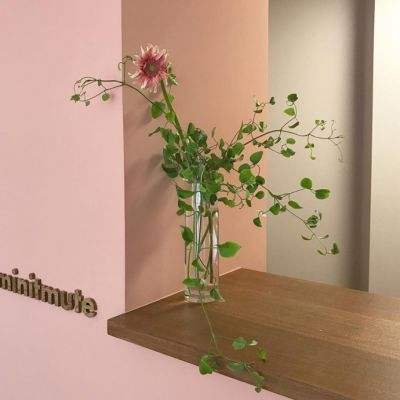 BOB体育下注