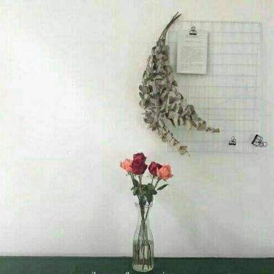竞博体育app下载地址