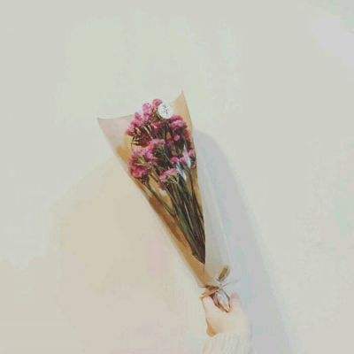 蜜柚MIYOAPP官网
