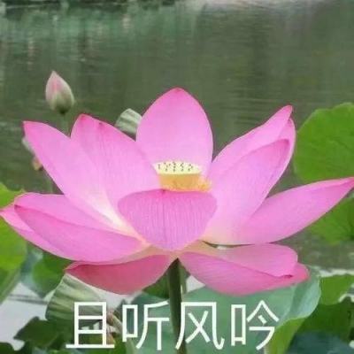 辰龙捕鱼官方下载版