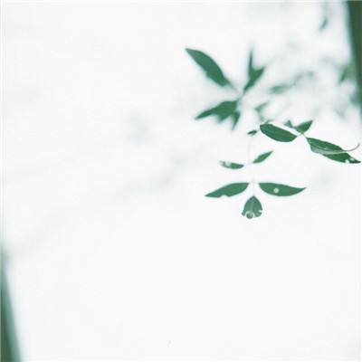 ror官网下载ios