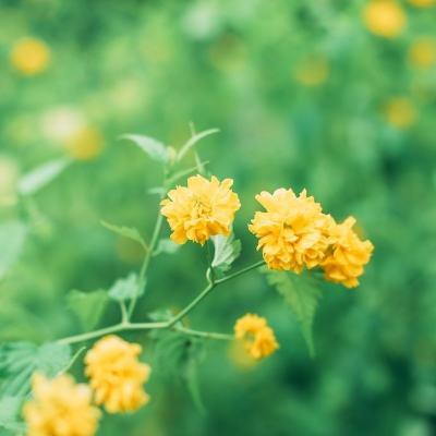 荣蕊功
