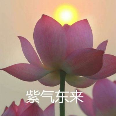 棋牌app官网下载开元870