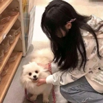MG真人厅